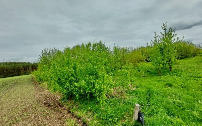 Nr. 216. Sklypas Širvintų raj., prie Čiobiškio, su krantu ,,Neris“ upės