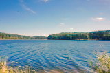 2.94 ha miškas Labanoro regioniniame parke su Aiseto ežero pakrantė Molėtų raj., Pašėkščių k. Nr. 514